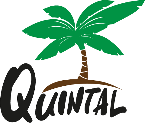 Quintal do Beach